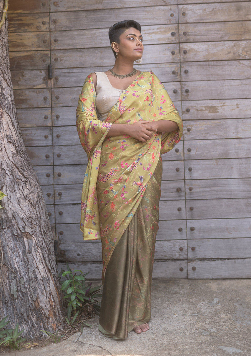 Whimsical Gradient Olive Saree